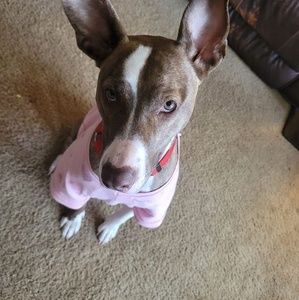 Meet your Posher, Michele